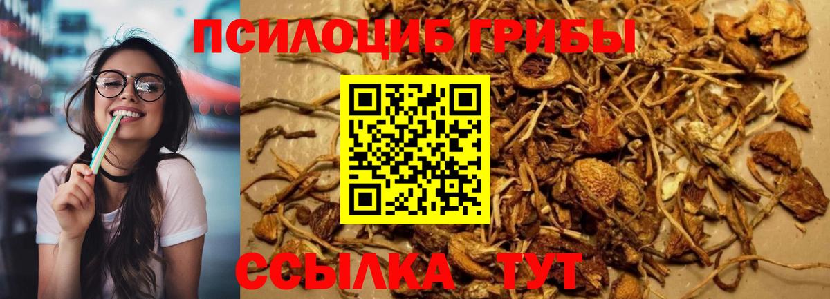 Псилоцибиновые грибы прущие грибы Энгельс