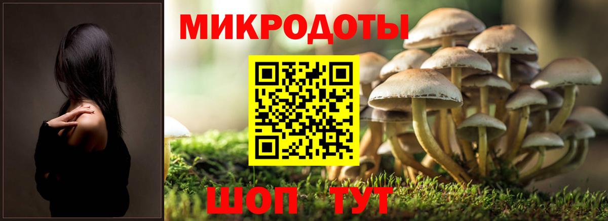 купить наркотики сайты  Псилоцибиновые грибы мицелий  Вход с VPN  Энгельс 